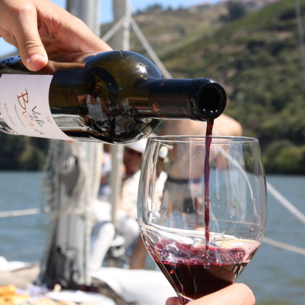Sail & Picnic on Board