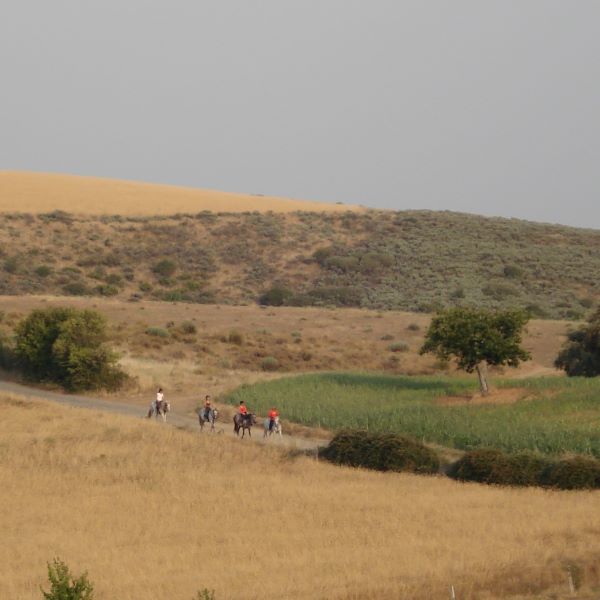 Trilhos da Terra Fria